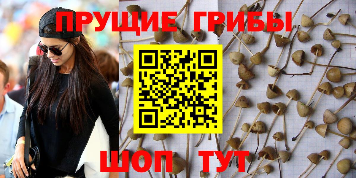 Псилоцибиновые грибы прущие грибы Маркс