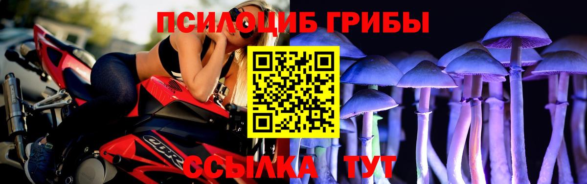 Маркс  Псилоцибиновые грибы мицелий  Псилоцибиновые грибы мицелий  Вход с VPN 